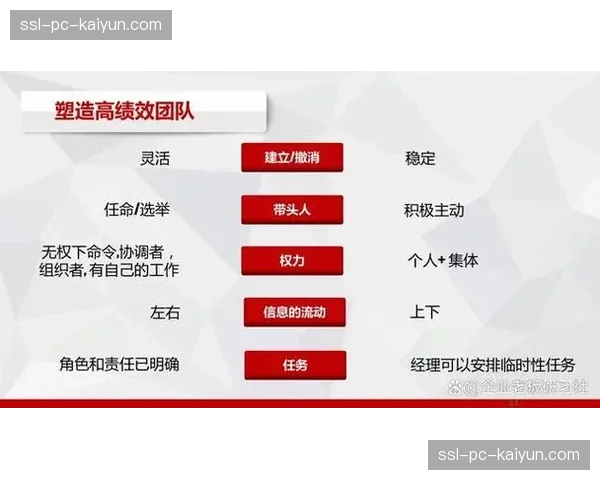 效果分成模式激励内容团队深耕垂类与高质量产出